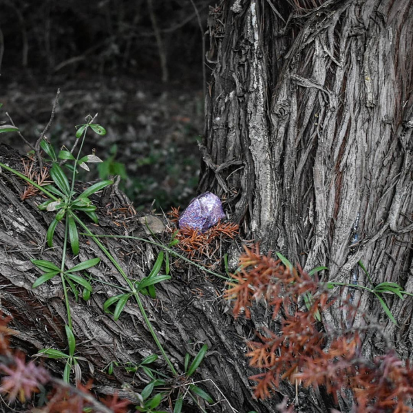 #8, Marritza (IT)&nbsp;